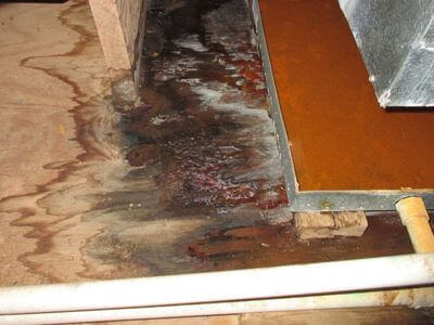 About Mesa Water Damage Restoration Crew - water damage restoration experts in Mesa